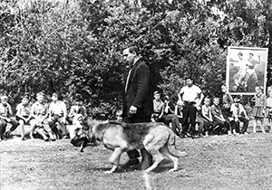 1966 5