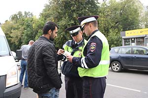 IMG 45981