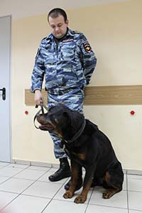 img 4739