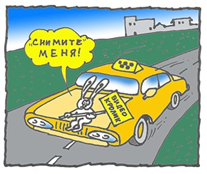 5301