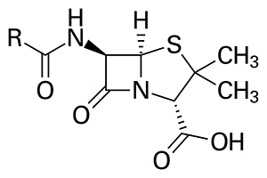 77519