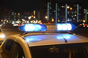 dsc 2310