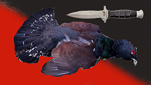 40884
