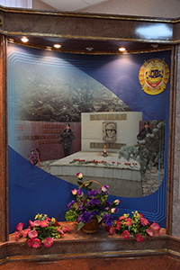 dsc 4800