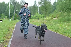 36553.webp