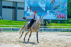7090.webp