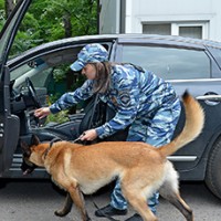10_005.jpg