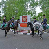 25943.jpg