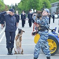 44970.jpg