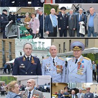 47449.jpg