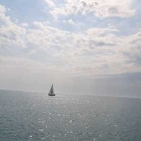 57023.jpg