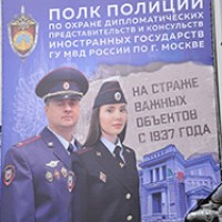 94384.jpg