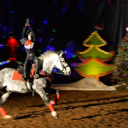DSC_0156.jpg