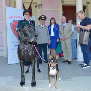 В ГОСТЯХ У БЕЛОСНЕЖКИ
