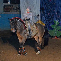 DSC_0200.jpg