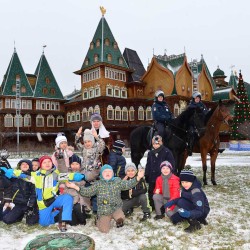 DSC_0203.jpg