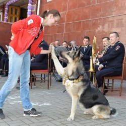 DSC_0267.jpg