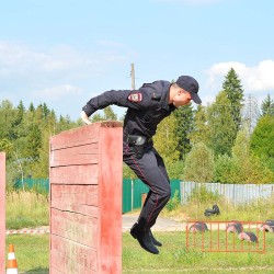 DSC_0295.JPG