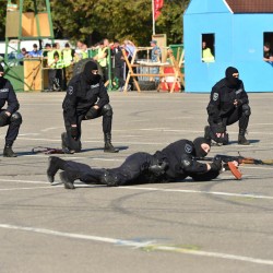 DSC_0416.jpg