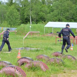DSC_1575.JPG