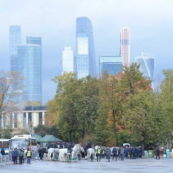 DSC_1778.JPG