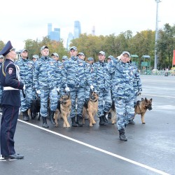 DSC_1909.JPG