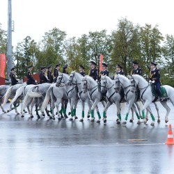 DSC_2115.JPG