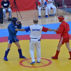 DSC_2708.JPG