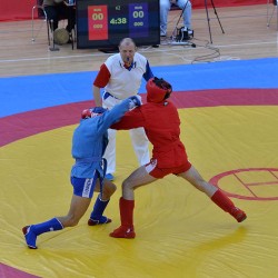 DSC_2718.JPG