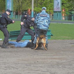 DSC_3088.JPG