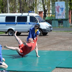 DSC_3153.JPG