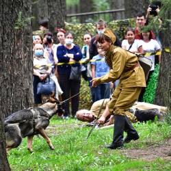 DSC_3184.JPG