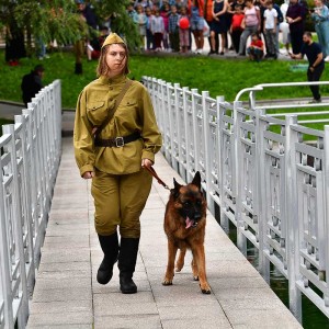 ЧЕТВЕРОНОГИЕ СОЛДАТЫ ВЕЛИКОЙ ОТЕЧЕСТВЕННОЙ