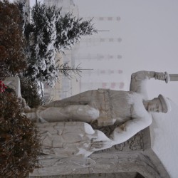 DSC_4360.jpg