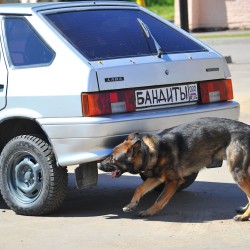 DSC_4380.JPG