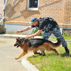 DSC_4442.JPG