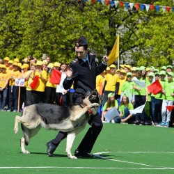 DSC_4976.JPG