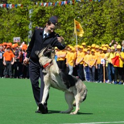 DSC_4979.JPG