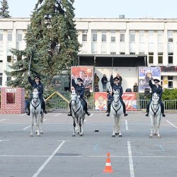 DSC_5728.JPG