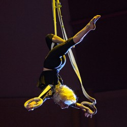 DSC_6018.JPG