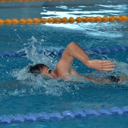 DSC_7824.JPG