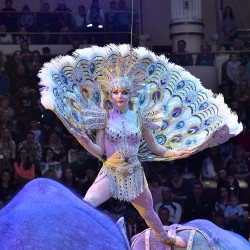 DSC_7924.JPG
