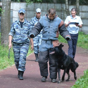 «ПОКАЗАЛИ ХОРОШИЙ РЕЗУЛЬТАТ»