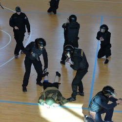 DSC_8652.JPG
