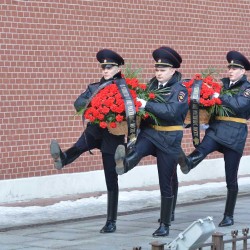 DSC_8778.jpg
