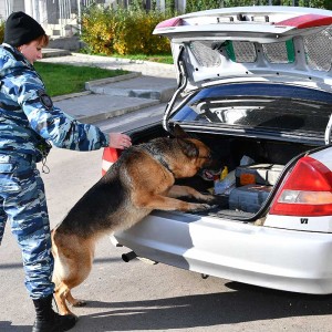 ЕСЛИ РЯДОМ НАСТОЯЩИЙ ВЕРНЫЙ ДРУГ