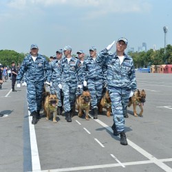 DSC_8991.jpg