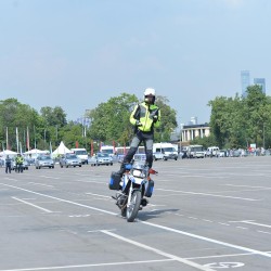 DSC_9238.jpg