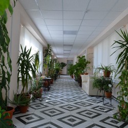 DSC_9587.jpg