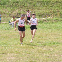 IMG_3510.JPG